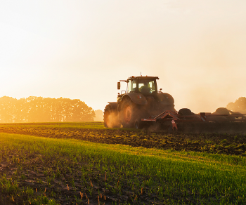tractor in a field