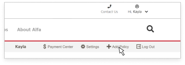 Screenshot of the add policy link in the header.