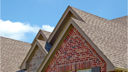 Rain or Shine: Roof Maintenance Tips 