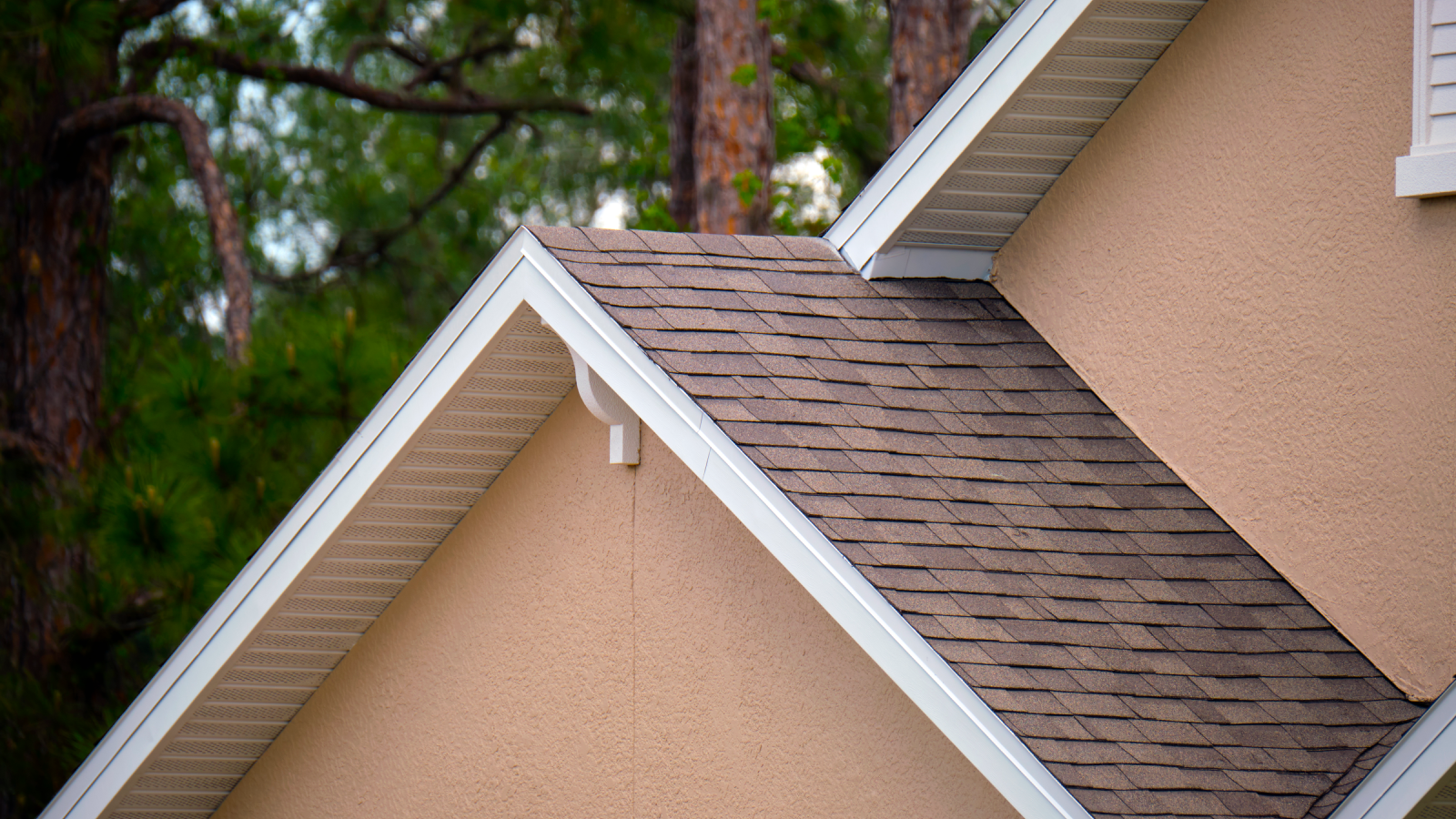 Asphalt shingle roof with trees in background. 