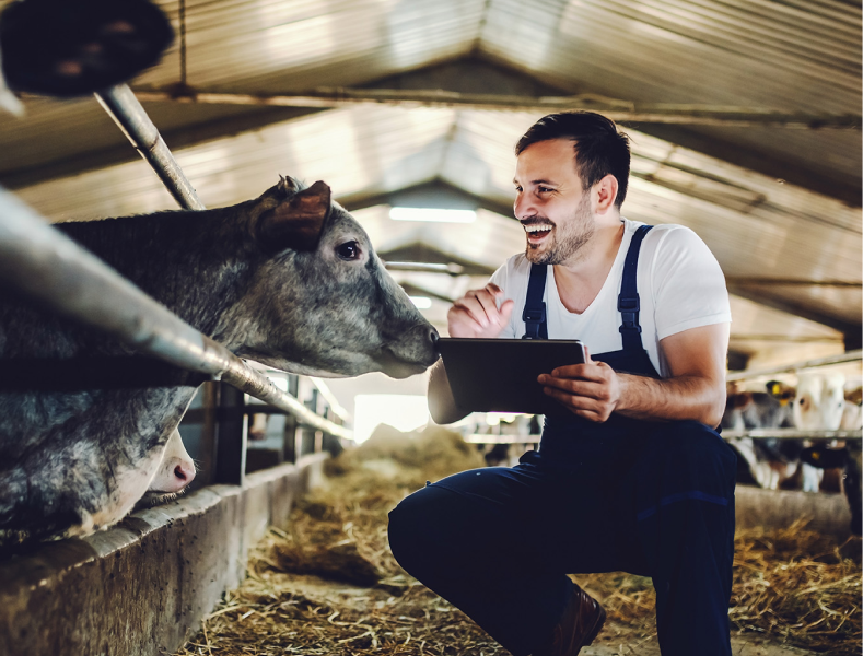 Image of a man and a cow