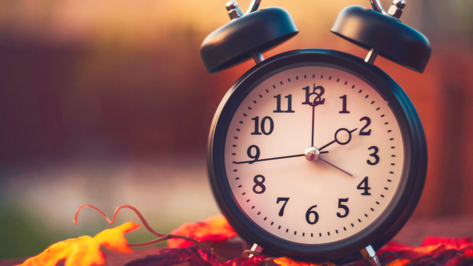 A clock sitting on leaves.