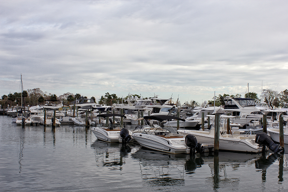 A variety of boats docked at busy marina.