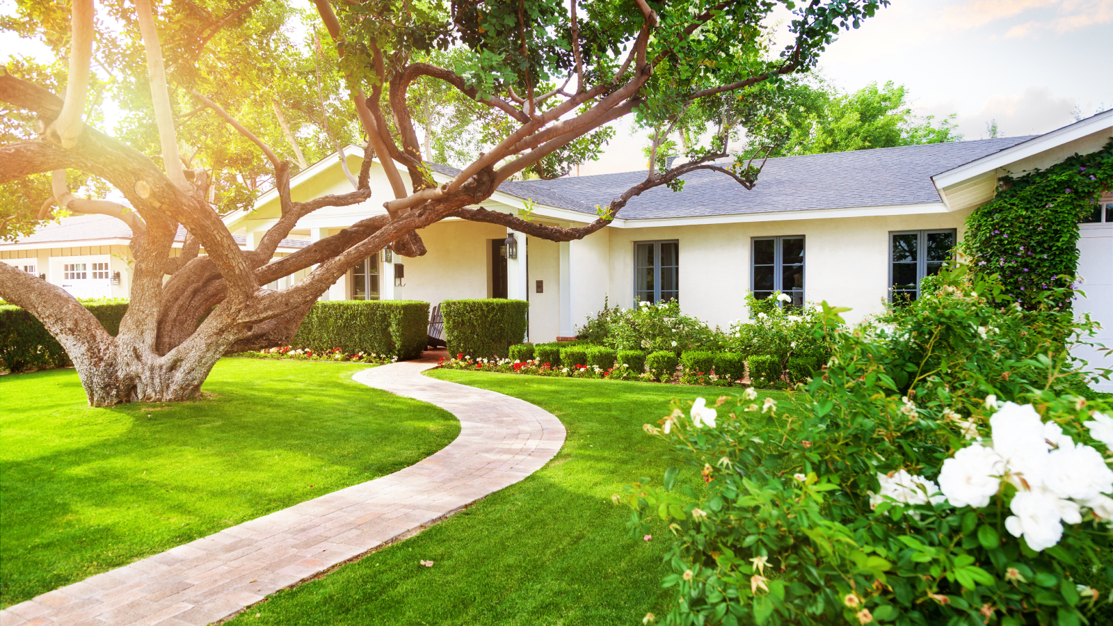 Front of home with neat landscaping features and large tree in yard